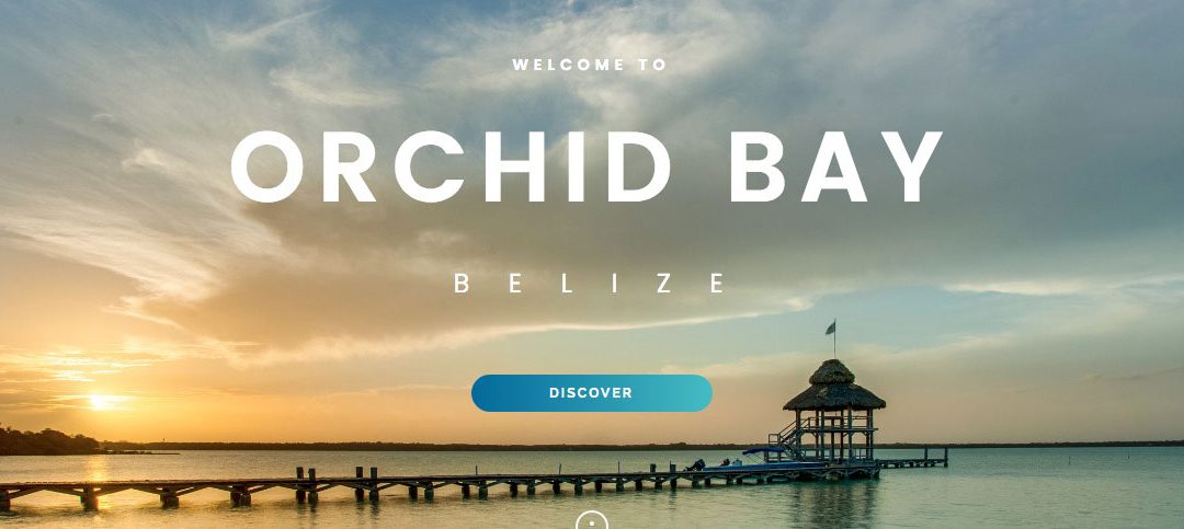 ORCHID BAY – Outsourced Sales and Marketing Case Study